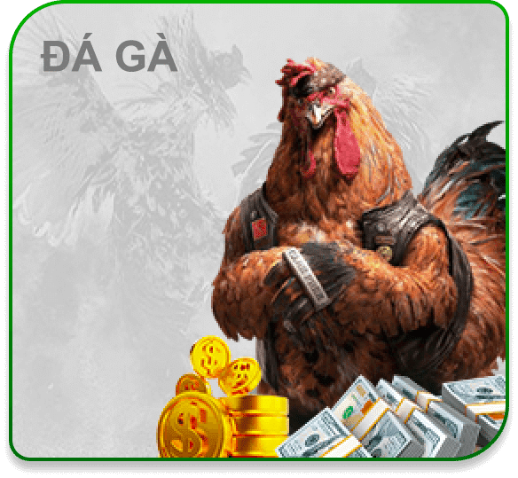 Đá gà